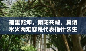 袖里乾坤，阴阳共融，莫谓水火两难容是代表指什么生打一最佳准确生肖数字，成语释义解释落实