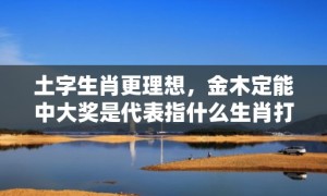 土字生肖更理想，金木定能中大奖是代表指什么生肖打一最佳准确生肖数字，成语释义解释落实