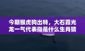 今期猴虎狗出特，大石霞光龙一气代表指是什么生肖猜打一正确数字，成语落实分析解答