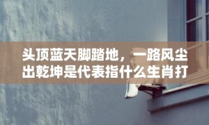 头顶蓝天脚踏地，一路风尘出乾坤是代表指什么生肖打一最佳准确生肖数字，成语释义解释落实