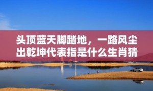 头顶蓝天脚踏地，一路风尘出乾坤代表指是什么生肖猜打一正确数字，成语落实分析解答