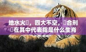 地水火風，四大不空，尅合刑沖在其中代表指是什么生肖猜打一正确数字，成语落实分析解答