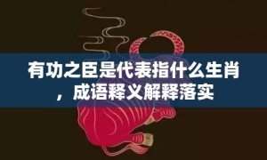 有功之臣是代表指什么生肖，成语释义解释落实