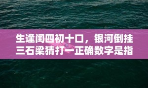 生逢闰四初十口，银河倒挂三石梁猜打一正确数字是指什么生肖，成语解释落实释义