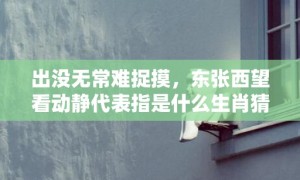 出没无常难捉摸，东张西望看动静代表指是什么生肖猜打一正确数字，成语落实分析解答