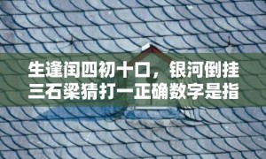 生逢闰四初十口，银河倒挂三石梁猜打一正确数字是指什么生肖，解答落实成语释义