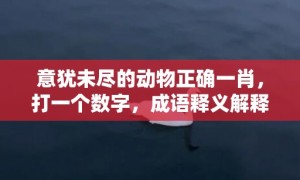 意犹未尽的动物正确一肖，打一个数字，成语释义解释落实