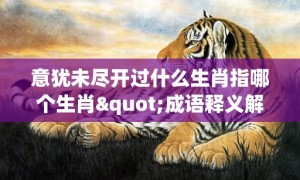 意犹未尽开过什么生肖指哪个生肖"成语释义解释落实“