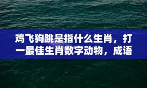 鸡飞狗跳是指什么生肖，打一最佳生肖数字动物，成语释义解释落实