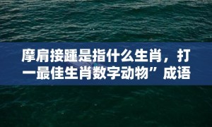 摩肩接踵是指什么生肖，打一最佳生肖数字动物”成语释义解释落实“