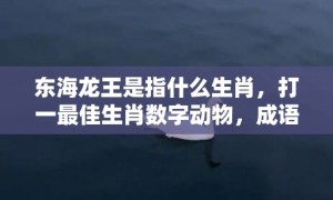 东海龙王是指什么生肖，打一最佳生肖数字动物，成语释义解释落实