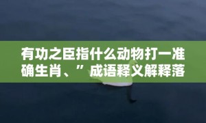 有功之臣指什么动物打一准确生肖、”成语释义解释落实“