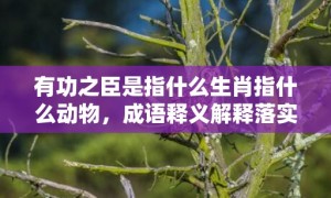 有功之臣是指什么生肖指什么动物，成语释义解释落实