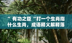 ”有功之臣“打一个生肖指什么生肖，成语释义解释落实