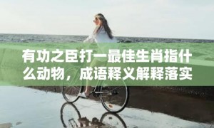 有功之臣打一最佳生肖指什么动物，成语释义解释落实