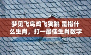 梦见飞鸟鸡飞狗跳 是指什么生肖，打一最佳生肖数字动物”成语释义解释落实“