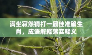 满坐寂然猜打一最佳准确生肖，成语解释落实释义