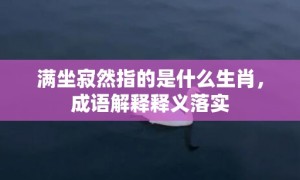 满坐寂然指的是什么生肖，成语解释释义落实