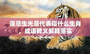 蓬荜生光是代表指什么生肖，成语释义解释落实