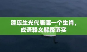 蓬荜生光代表哪一个生肖，成语释义解释落实