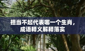 担当不起代表哪一个生肖，成语释义解释落实