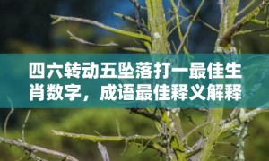 四六转动五坠落打一最佳生肖数字，成语最佳释义解释答