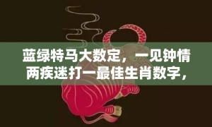 蓝绿特马大数定，一见钟情两疾迷打一最佳生肖数字，成语最佳释义解释答