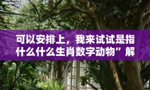 可以安排上，我来试试是指什么什么生肖数字动物”解释落实释义成语“