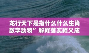 龙行天下是指什么什么生肖数字动物”解释落实释义成语“