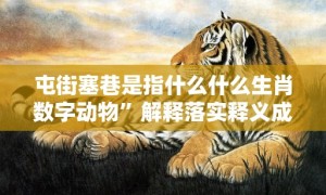 屯街塞巷是指什么什么生肖数字动物”解释落实释义成语“