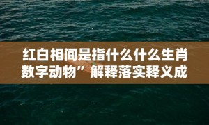 红白相间是指什么什么生肖数字动物”解释落实释义成语“