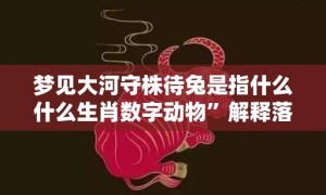 梦见大河守株待兔是指什么什么生肖数字动物”解释落实释义成语“