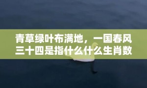 青草绿叶布满地，一国春风三十四是指什么什么生肖数字动物”解释落实释义成语“