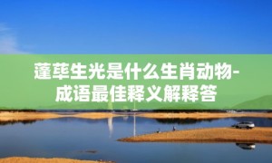 蓬荜生光是什么生肖动物-成语最佳释义解释答