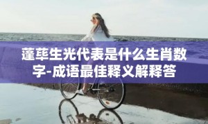 蓬荜生光代表是什么生肖数字-成语最佳释义解释答