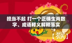 担当不起 打一个正确生肖数字、成语释义解释落实