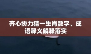 齐心协力猜一生肖数字、成语释义解释落实