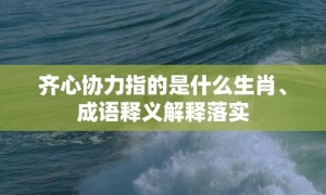 齐心协力指的是什么生肖、成语释义解释落实