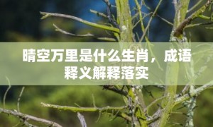 晴空万里是什么生肖，成语释义解释落实