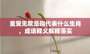 童叟无欺是指代表什么生肖，成语释义解释落实