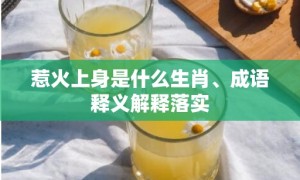 惹火上身是什么生肖、成语释义解释落实