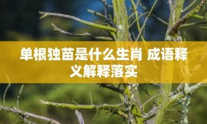 单根独苗是什么生肖 成语释义解释落实