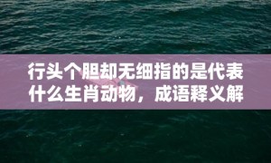 行头个胆却无细指的是代表什么生肖动物，成语释义解释落实