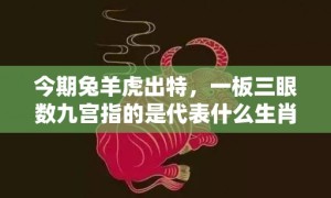 今期兔羊虎出特，一板三眼数九宫指的是代表什么生肖动物，成语释义解释落实