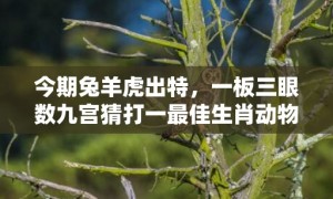 今期兔羊虎出特，一板三眼数九宫猜打一最佳生肖动物数字，成语释义解释落实