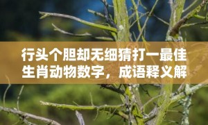 行头个胆却无细猜打一最佳生肖动物数字，成语释义解释落实