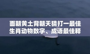 面朝黄土背朝天猜打一最佳生肖动物数字、成语最佳释义解释答