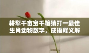 耕犁千亩宝千箱猜打一最佳生肖动物数字，成语释义解释落实