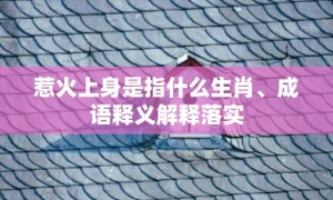 惹火上身是指什么生肖、成语释义解释落实