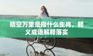 晴空万里是指什么生肖，释义成语解释落实